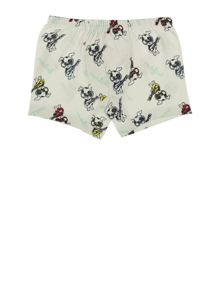 Трусы для мальчика Donella 75851 р.134-140 в ассортименте 