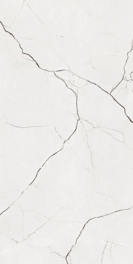 Плитка Allore Group Eleganza White F P R Somat 60x120 см