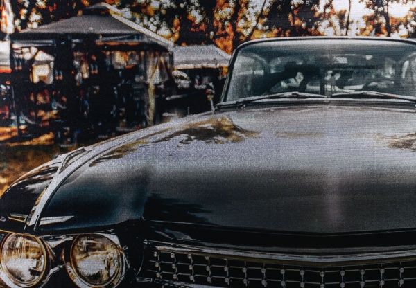 Картина Форсаж 113x85 см Styler CA-13051 