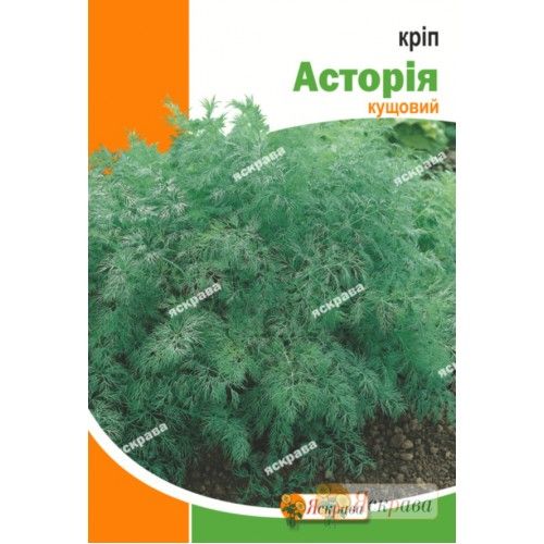 Семена Яскрава укроп кустовой Астория 20 г (4823069913601)
