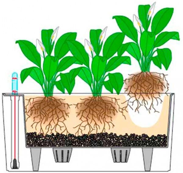 Вазон пластиковый Lechuza Delta 20 овальный 10л белый (15560) 