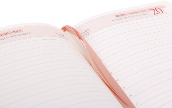 Щоденник датований Integro Leo Planner Integro A5 2023