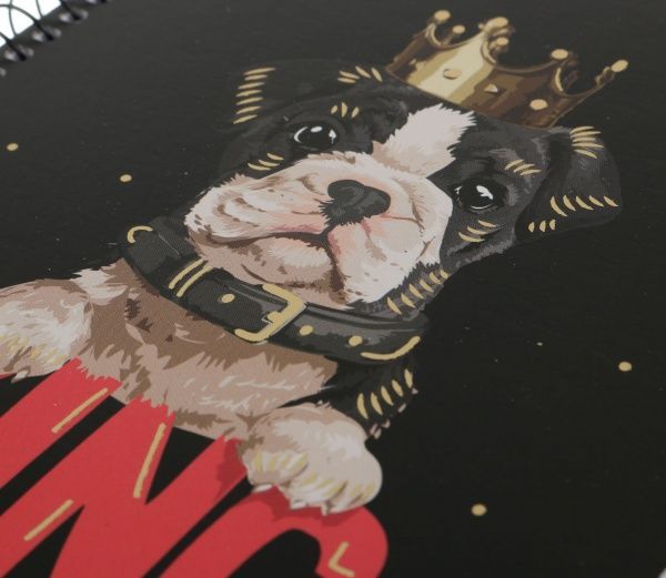 Тетрадь школьная А5 80 листов в клеточку A5-SC-080-6077K Student Школярик