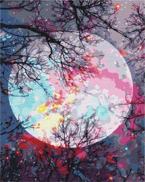 Картина за номерами З видом на місяць PBS51423 40х50 см Brushme 