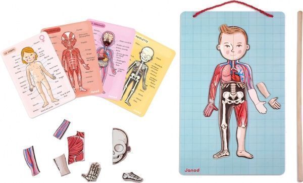 Игровой набор Janod Тело человека J05491