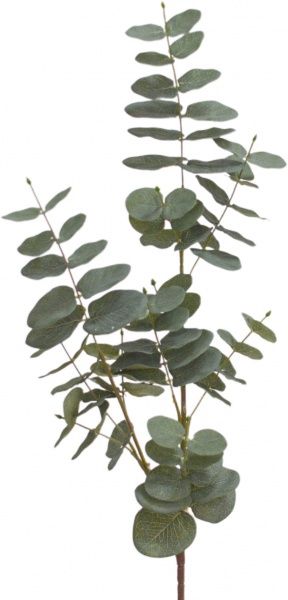 Растение искусственное Эвкалипт зеленый 28283J