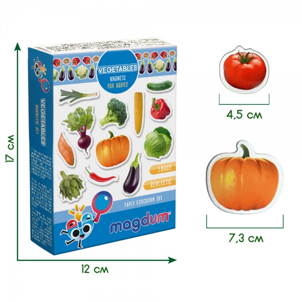Набор магнитов Magdum Овощи ML4031-12 EN