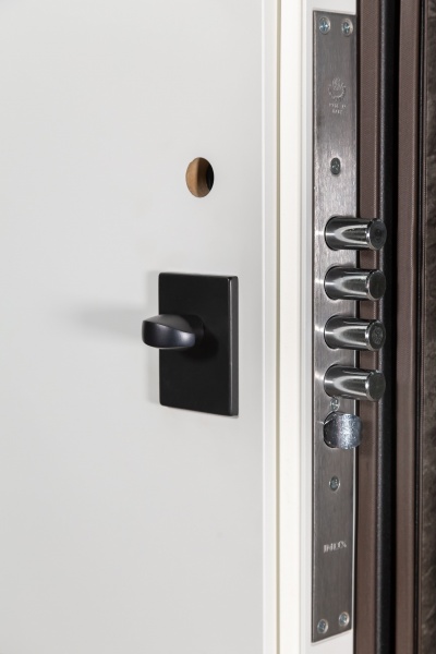 Дверь входная Булат Термо FORTEZZA (Квадро) 536 mamba morion / белый супермат 2050x950 мм правая