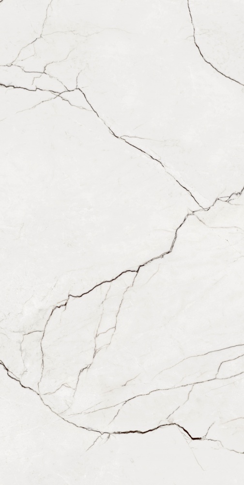 Плитка Allore Group Eleganza White F P R Full Lappato 60х120 см