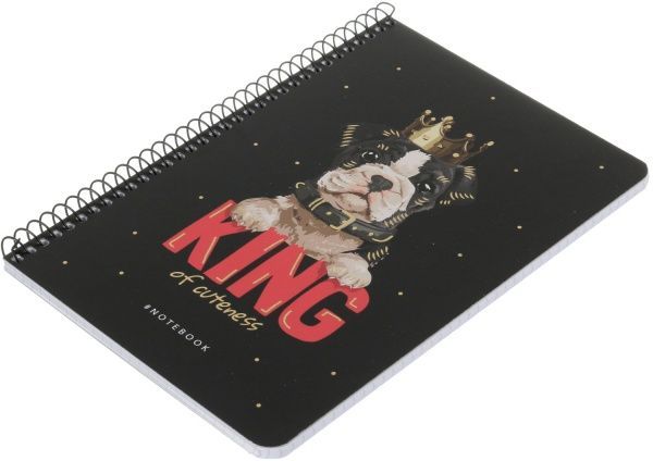 Тетрадь школьная А5 80 листов в клеточку A5-SC-080-6077K Student Школярик