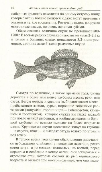Книга Сабанеев Л. «Жизнь и ловля пресноводных рыб. Переиздание» 978-617-660-252-1