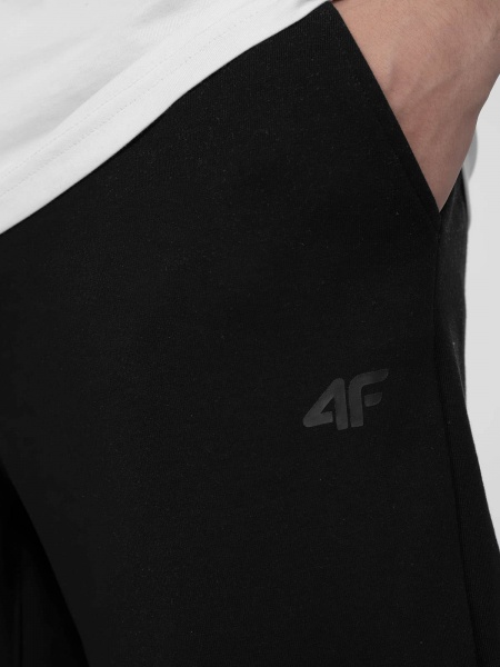Брюки 4F H4L22-SPMD012-20S р. 3XL черный