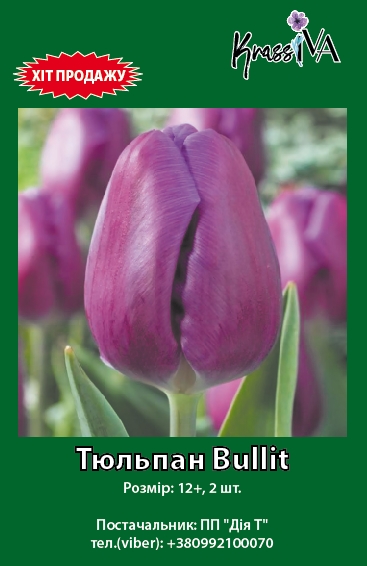 Луковица тюльпан Bullit 2 шт. 