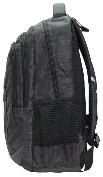 Ранец школьный Safari 2 отделения 21-193L