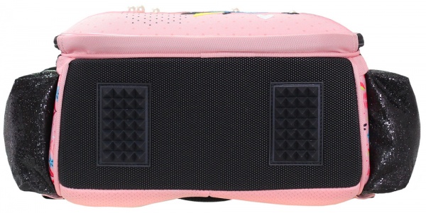 Ранец школьный CLASS Shiny Bird 39x28x22 см 2216C