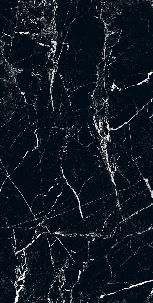 Плитка Allore Group Marquina Black F P R Mat 60х120 см