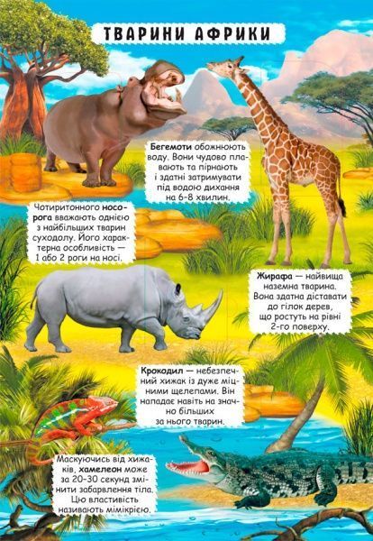 Книга «Книжка з секретними віконцями. Відкрий та дізнайся. Тварини планети Земля» 978-966-936-950-5