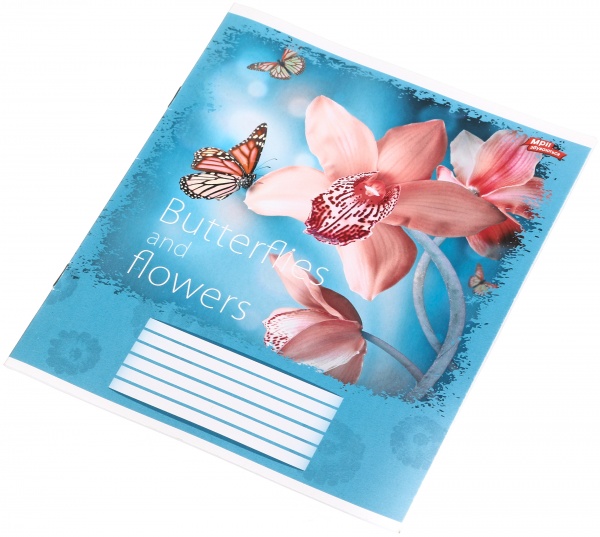 Тетрадь школьная 18 листов в линейку в ассортименте Мечты сбываются