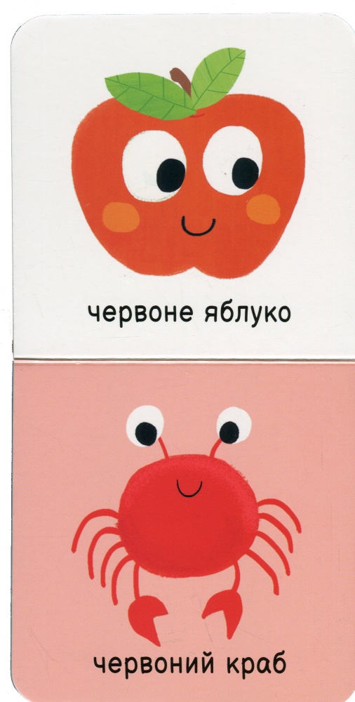 Книга «Мої кольори» 978-617-09-8958-1