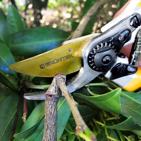 Секатор Gruntek Z-25 215 мм 