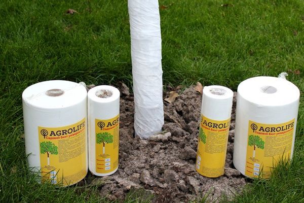 Бинт садовый Agrolife 20 белый 0,2х50 м