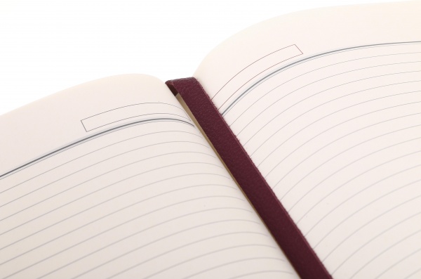 Дневник недатированный Смарт+ сливовый ТЕКО A4 Е 584-00.62-304046