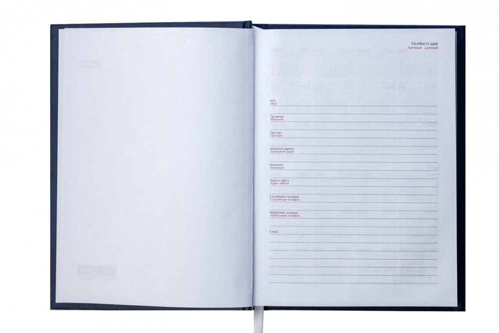 Дневник недатированный MONOCHROME бордовый Buromax A5 BM.2055-13