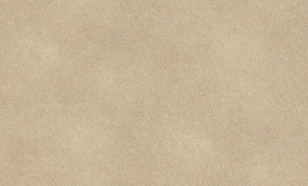 Шпалери вінілові на флізеліновій основі RASCH Fiesta 973044 1,06x10,05 м 