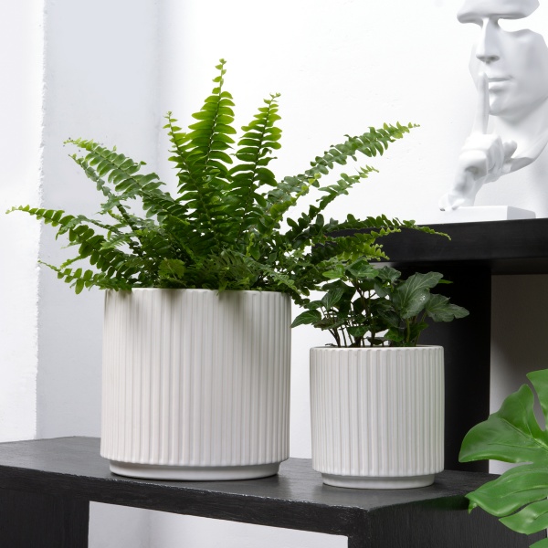 Кашпо керамическое МВМ DH-FLOWERS-24 S WHITE 11 см Белый 