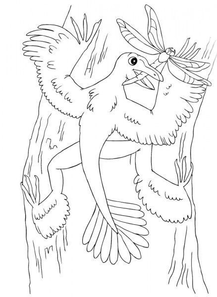 Книга-раскраска Юлия Каспарова «Велика книга розмальовок: Динозаври» 978-9-6674-8251-0