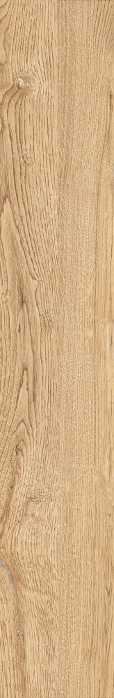 Плитка Allore Group Armario Honey F PR R Mat 19,8x120 см