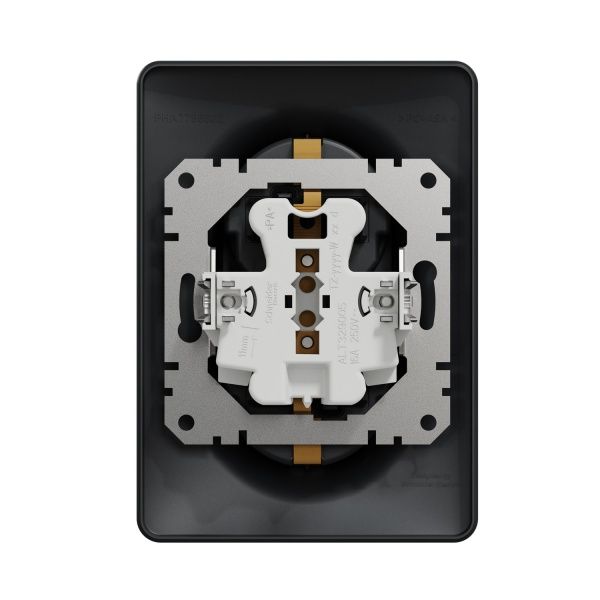 Розетка силовая двойная с заземлением Schneider Electric Sedna Design со шторками без крышки черный SDD314221