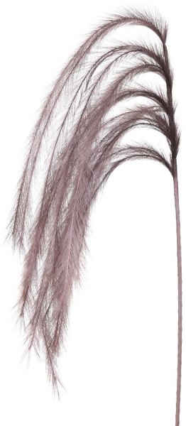 Рослина декоративна гілка з пір'ям сіро-коричнева 130 см