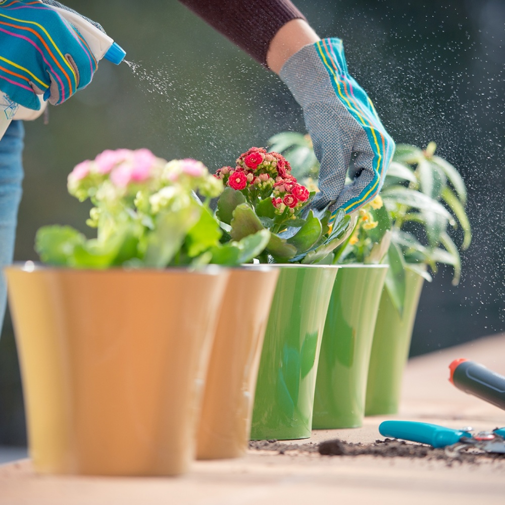 Вазон пластик Arte круглий зелений із білим 3,5 л Santino (2004383)