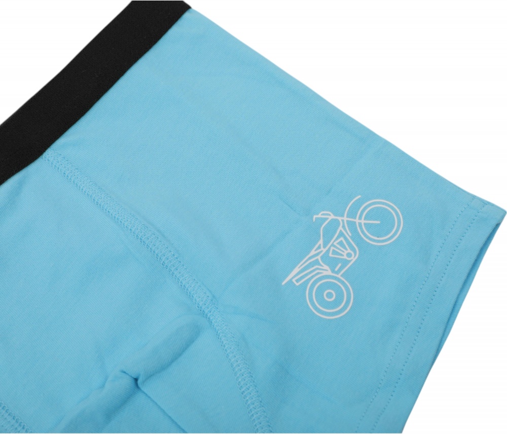 Набор трусов для мальчиков HW 3 пары боксеры р.122-128 голубой с синим N3-O3