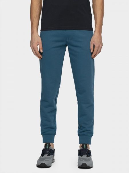 Брюки 4F NOSD4-SPMD301-32S р. 2XL синий