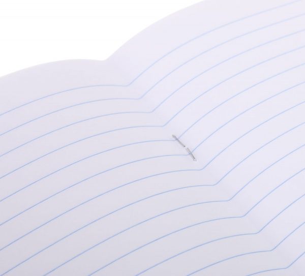 Тетрадь школьная 12 листов линия 2021_2 Nota Bene