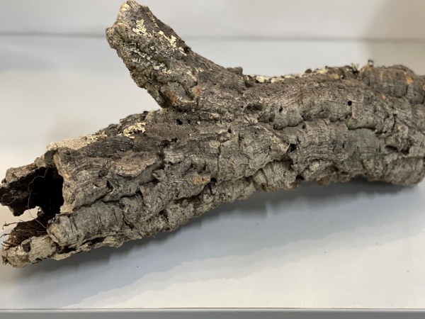 Декор Лотос К коряга Труба