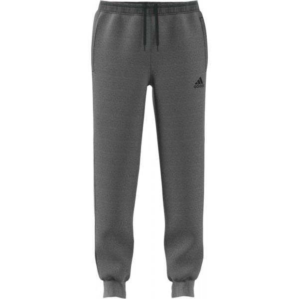 Брюки Adidas CORE18 SW PNT CV3752 р. L серый