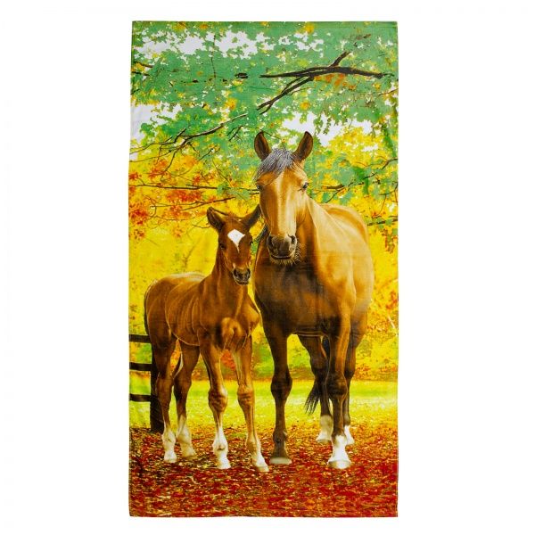 Рушник № 57 75x150 см різнокольоровий Home Line 