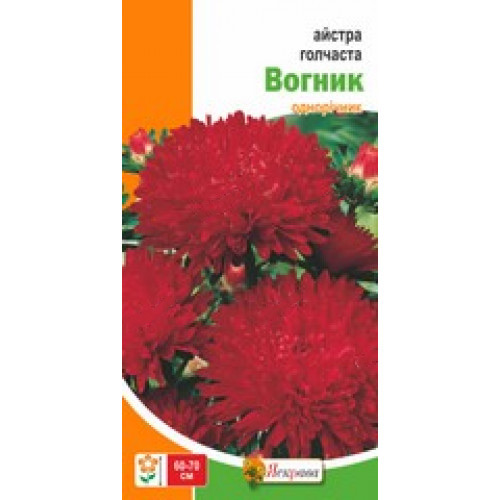 Семена Яскрава астра игольчатая Огонек