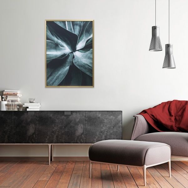 Картина try Sucullent 50x70 см Styler OB-02667 