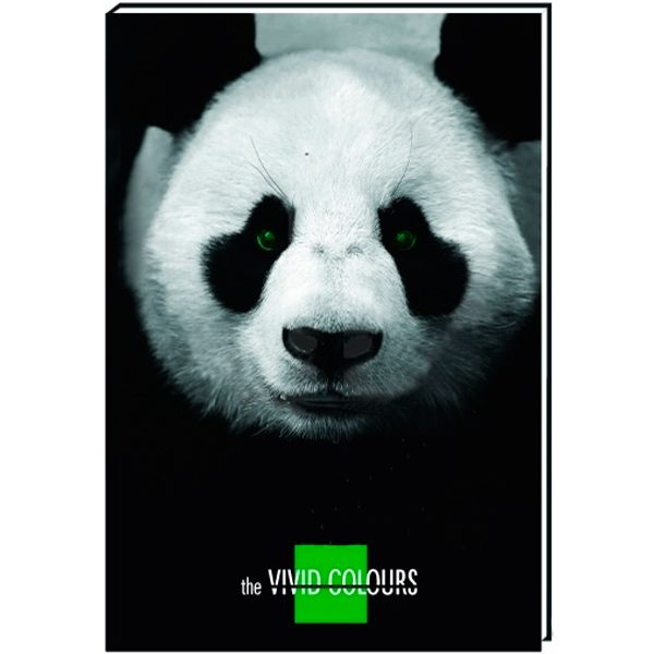 Тетрадь клетка Cool For School Vivid Colours А5 80 листов