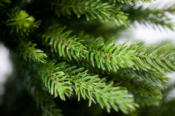 Елка искусственная Лора-240 литая хвоя зеленый 