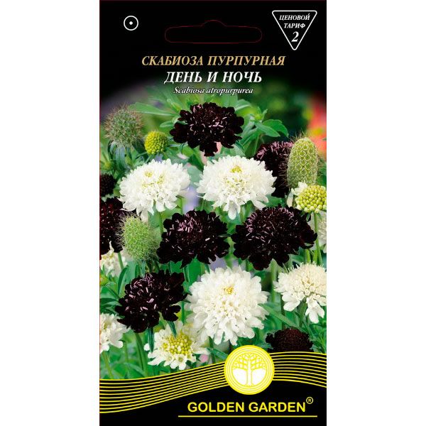 Семена Golden Garden Скабиоза Пурпурная День и Ночь (Голден Гарден) (4820164125458) 0.3 г