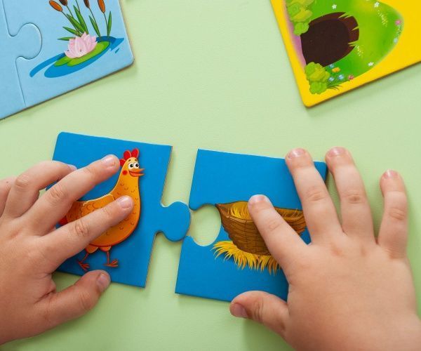 Развивающая игра Vladi Toys Где чей домик? VT1804-30