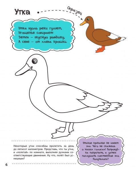 Раскраска Анна Алешичева «У бабушки в деревне» 978-617-690-812-8