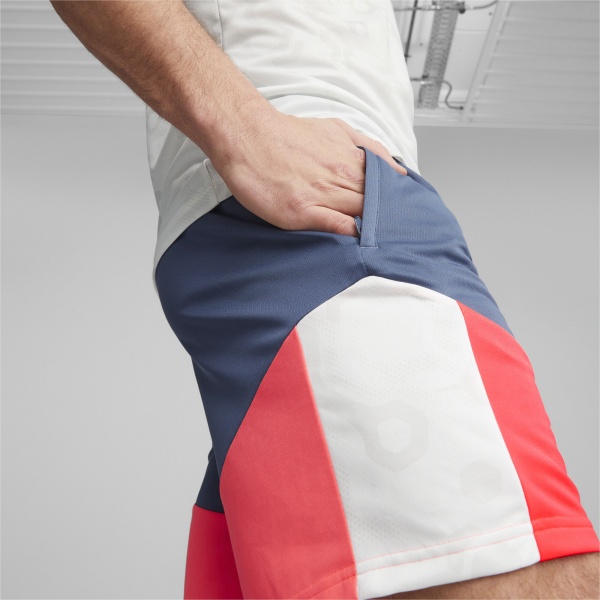 Шорты Puma individualCUP Shorts 65848553 р. L серый