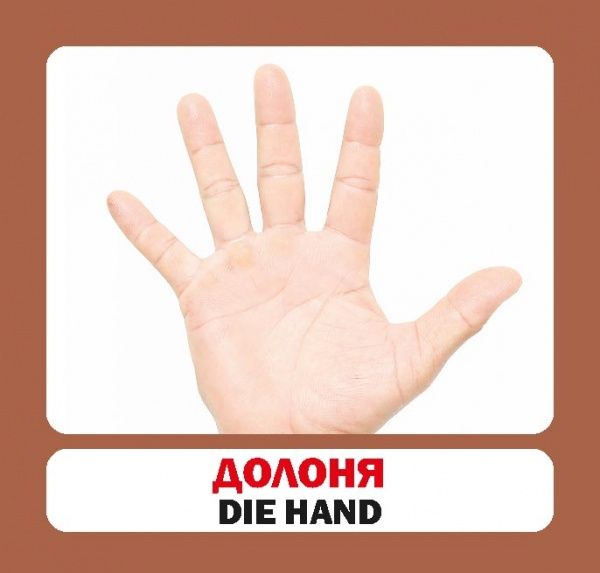 Книга «Навчальний посібник. Частини тіла. нім-укр»