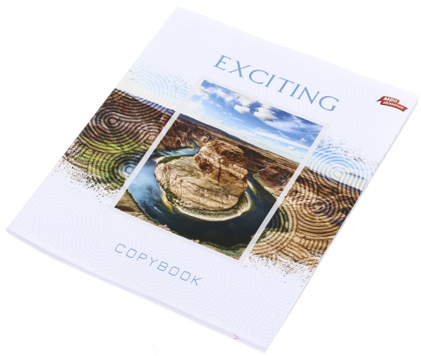 Тетрадь школьная 18 листов в клеточку в ассортименте Мечты сбываются